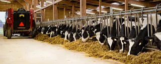 zemědělství na orné půdě