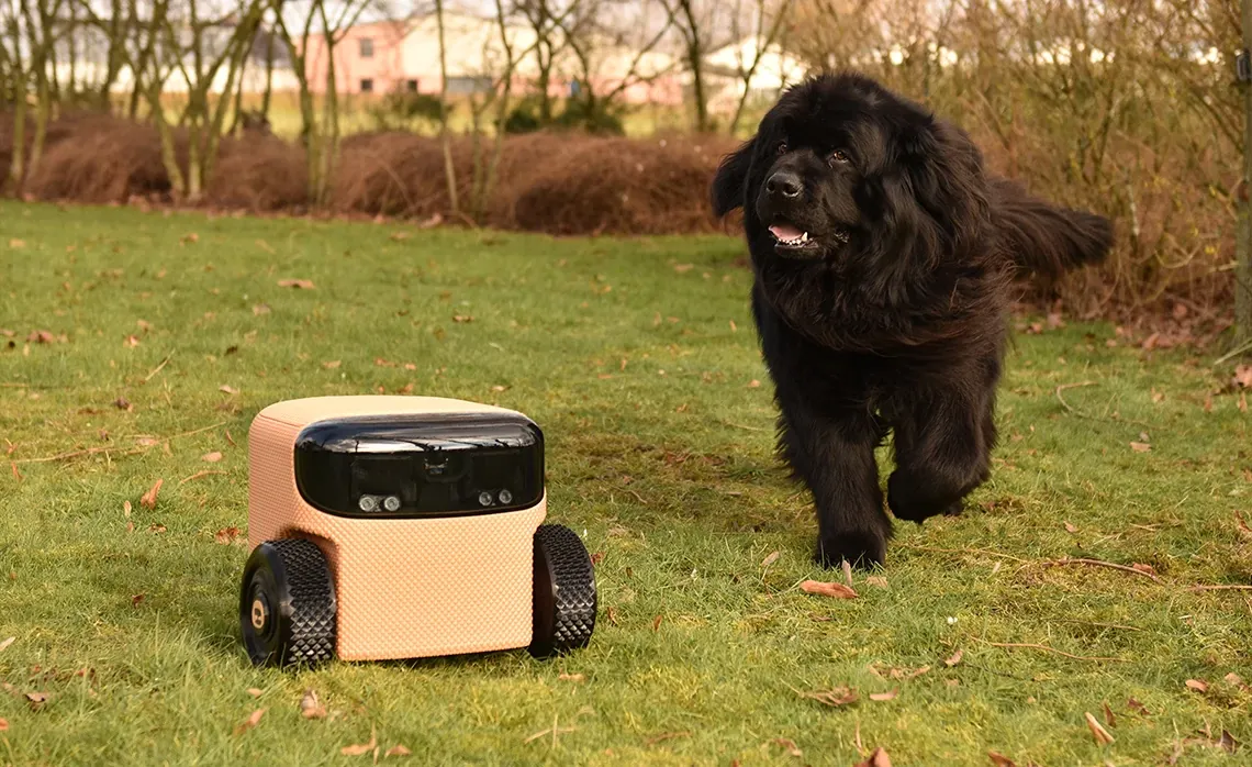 Robô pessoal Willow da EEVE