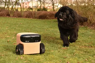 Personal robot Willow from EEVE