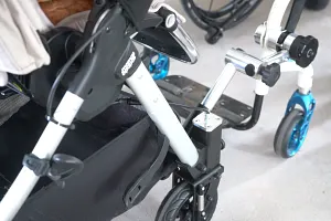 accessible wheelchair