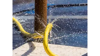 Bus cables on a long travel