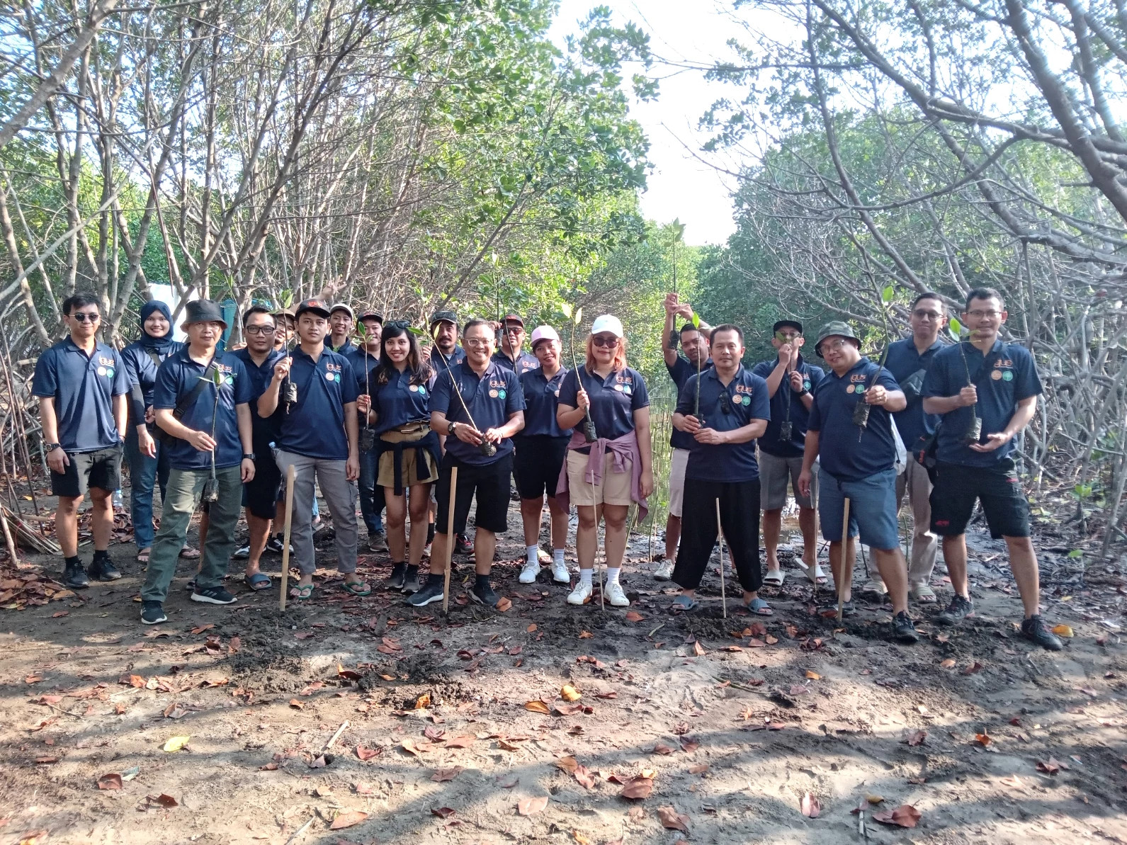 igus Indonesia donates 800 mangrove tree seedlings