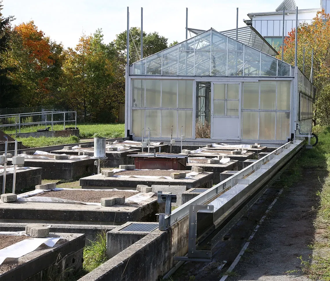 Sistema lisimetrico con 28 vasche di prova