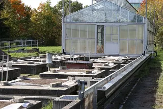 Lysimeter system with 28 test tanks