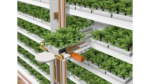 vertical farming