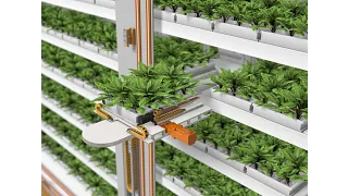 vertical farming