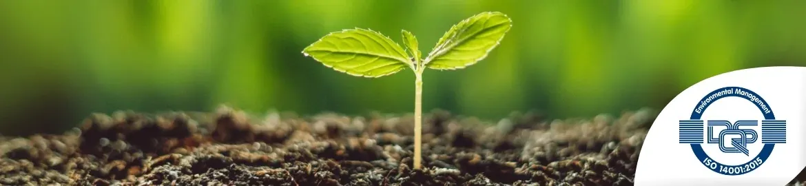 commitment to sustainability 