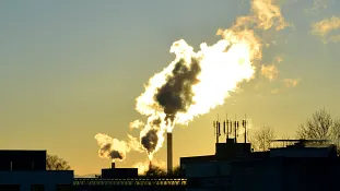 incineration plant