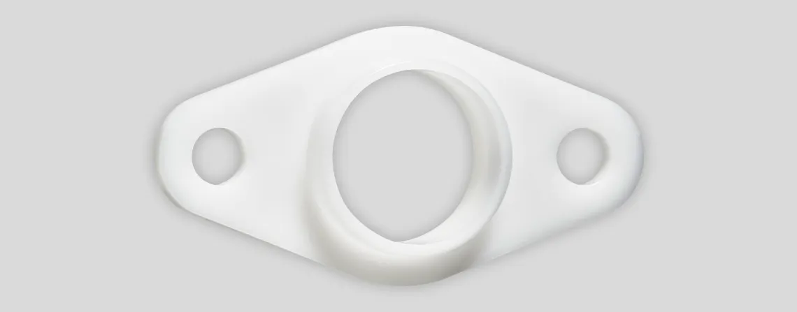 iglide A180 two bolt flange