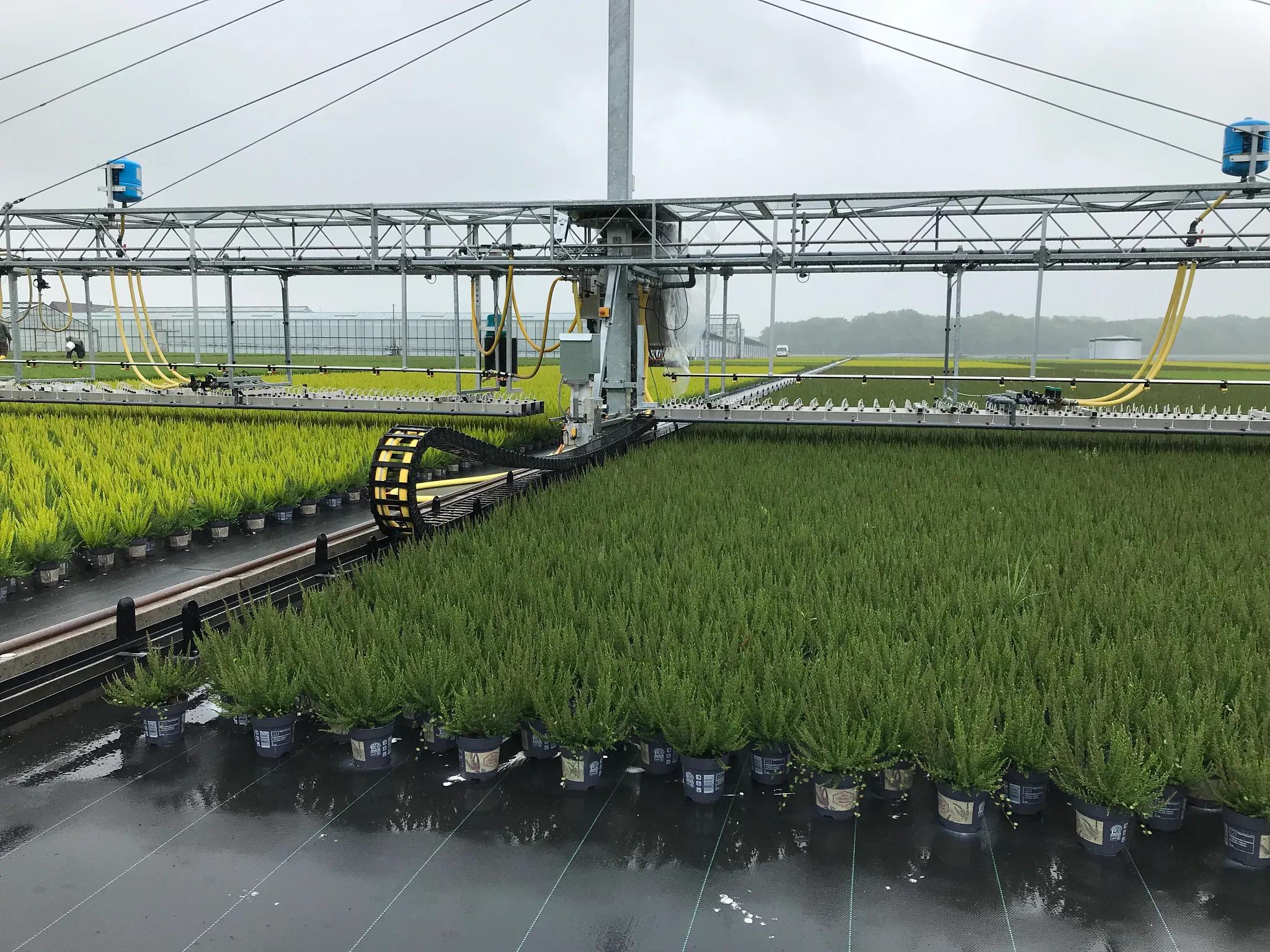 Watering machine with e-chain