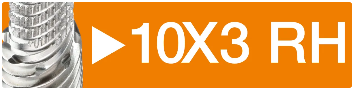 10x3 RH