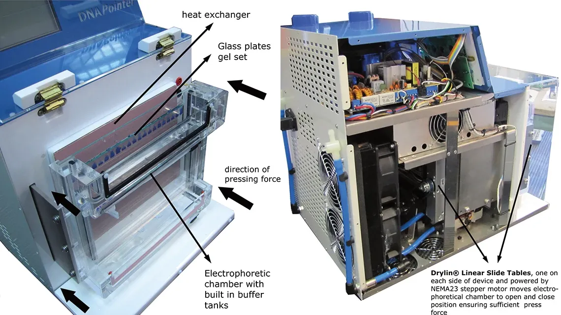 Système de pointage de l'ADN