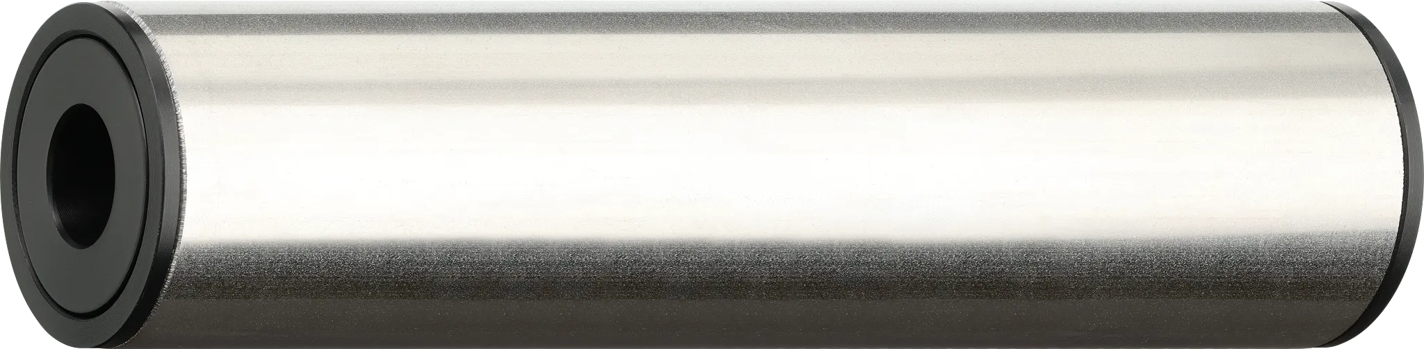 Ableitfähige Tragrolle, Edelstahl