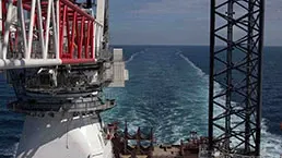 Jambe encerclant la grue