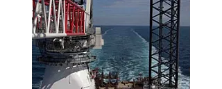 Grúa que rodea la pierna