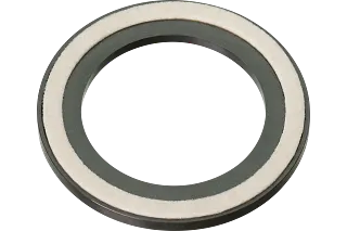 iglidur z uszczelką filcową