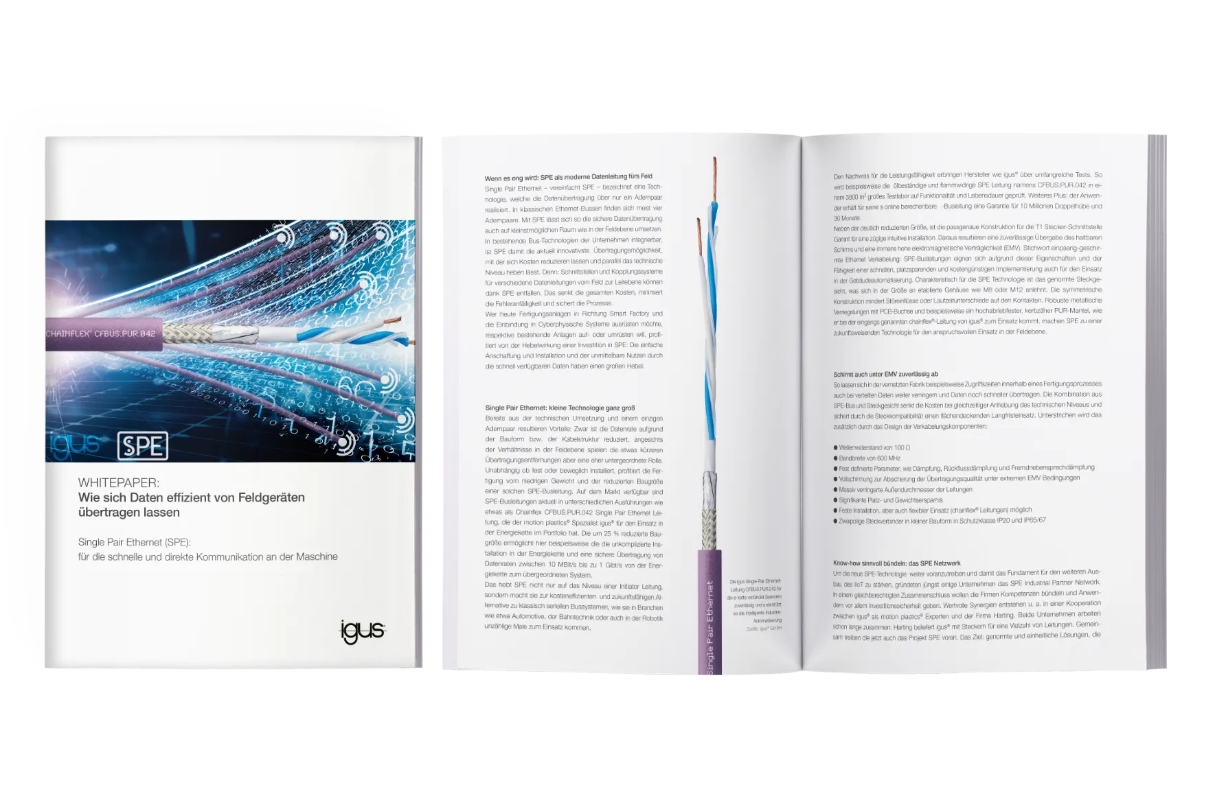 SPE Whitepaper