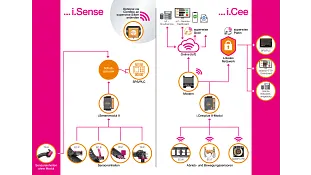 i.Sense und i.Cee
