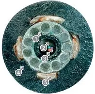 Cabo gradiente de fibra ótica