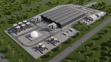 3D image of tbe plant