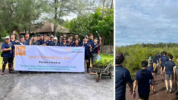 Des collaborateurs d'igus Thaïlande lors de la plantation