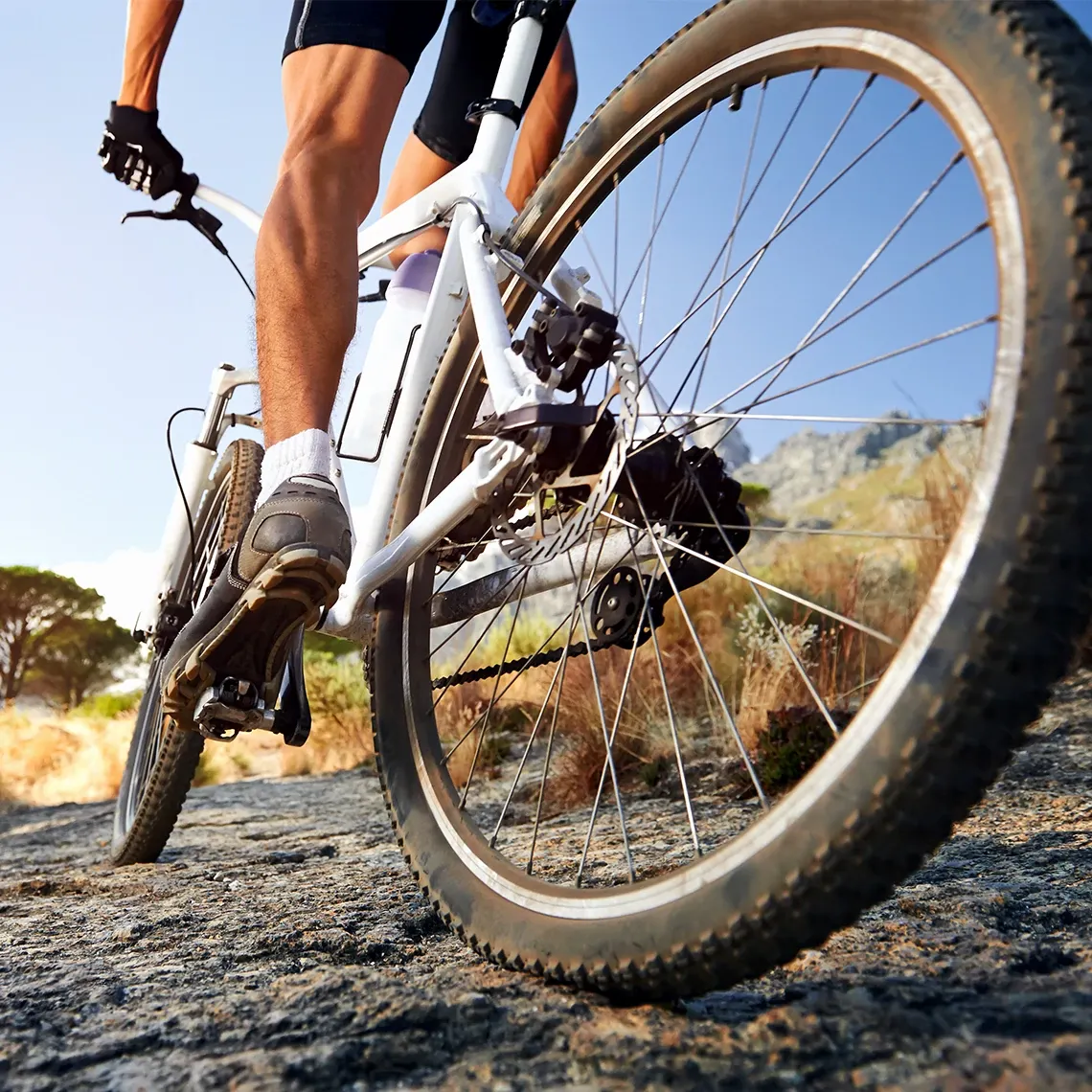 Mountain bike in nature