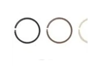 Segments de piston iglide®