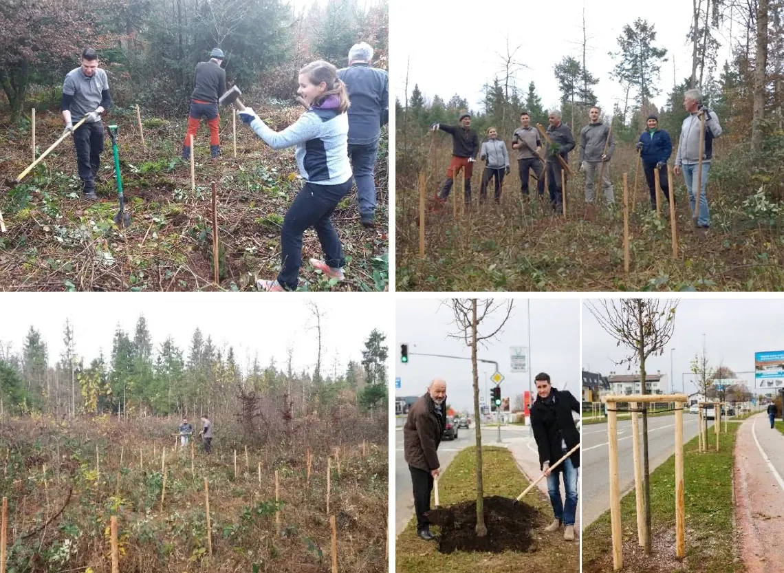 Campagne de plantation d'arbres de la société Hennlich en Slovénie