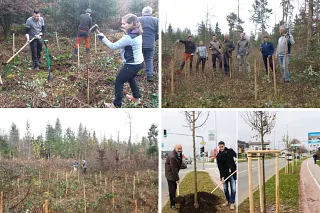 Tree planting campaign by Hennlich in Slovenia