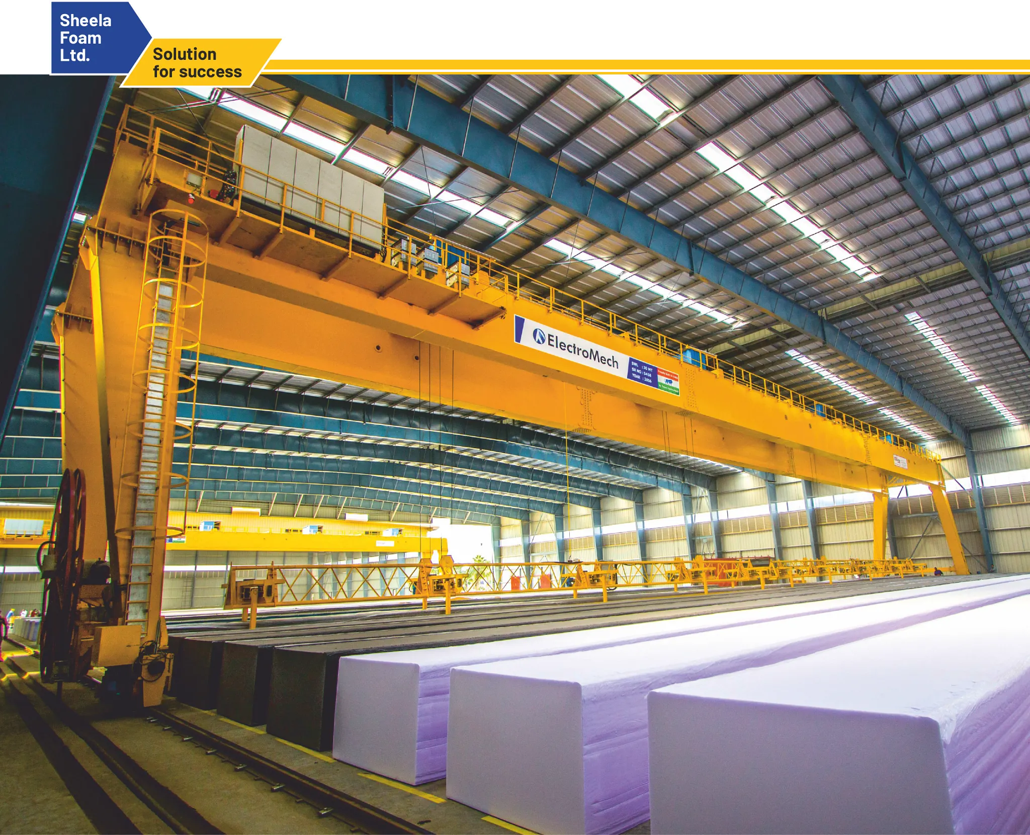 heavy duty EOT and indoor cranes