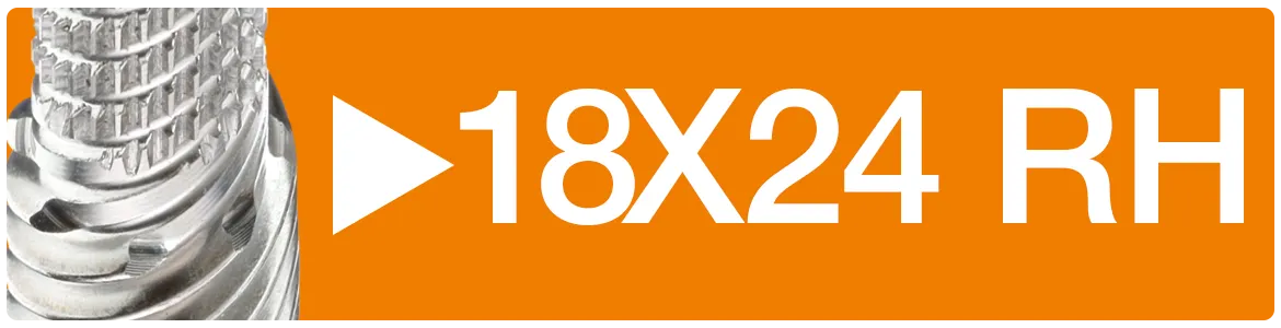 18x24 RH