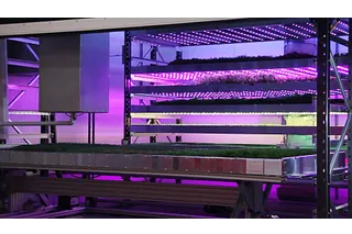 smart farming indoor