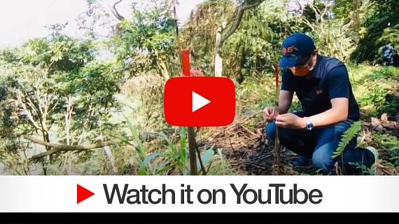 Vidéo YouTube de la campagne de plantation à Taïwan