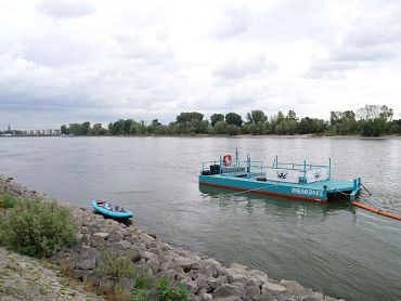 Müllkrake auf dem Rhein