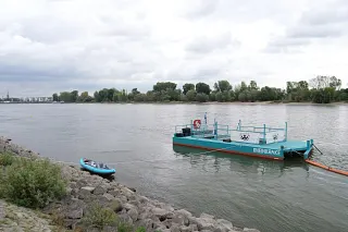 Rhine octopus - floating rubbish trap on the Rhine near Cologne