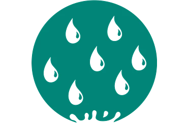 Absence de corrosion