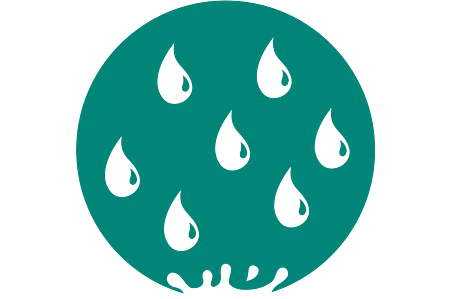 Absence de corrosion