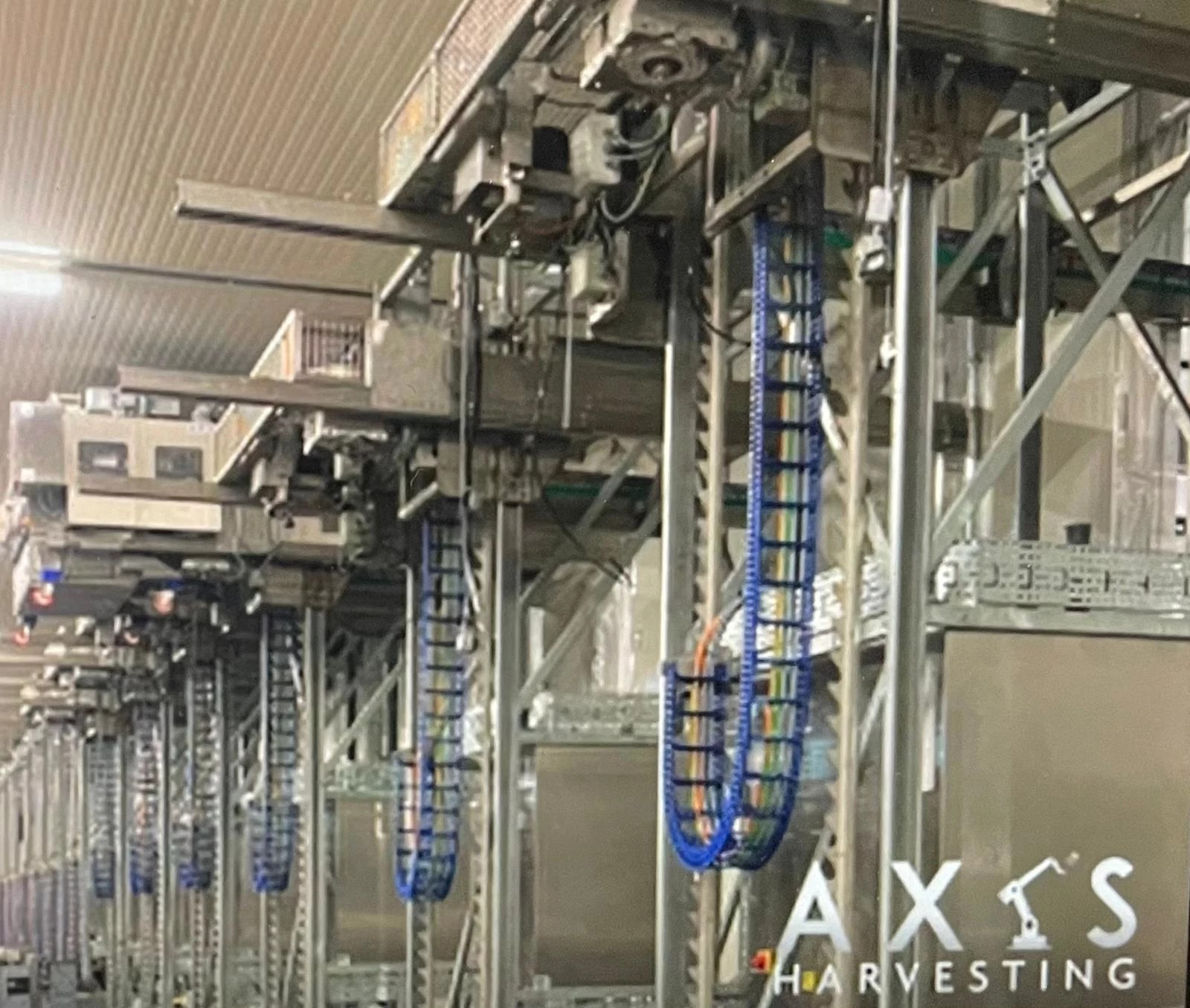 TH3 energy chain in mushroom-harvesting system