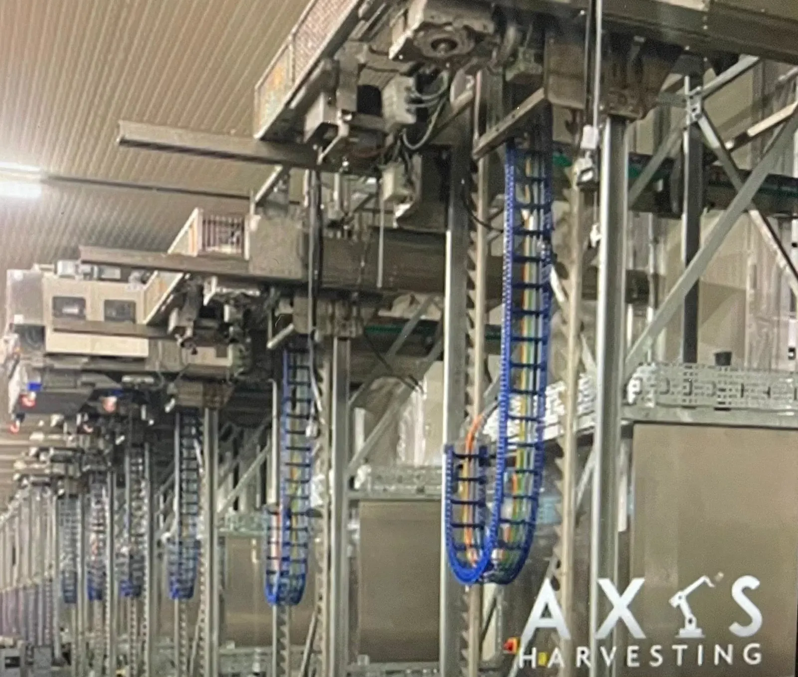 TH3 energy chain in mushroom-harvesting system