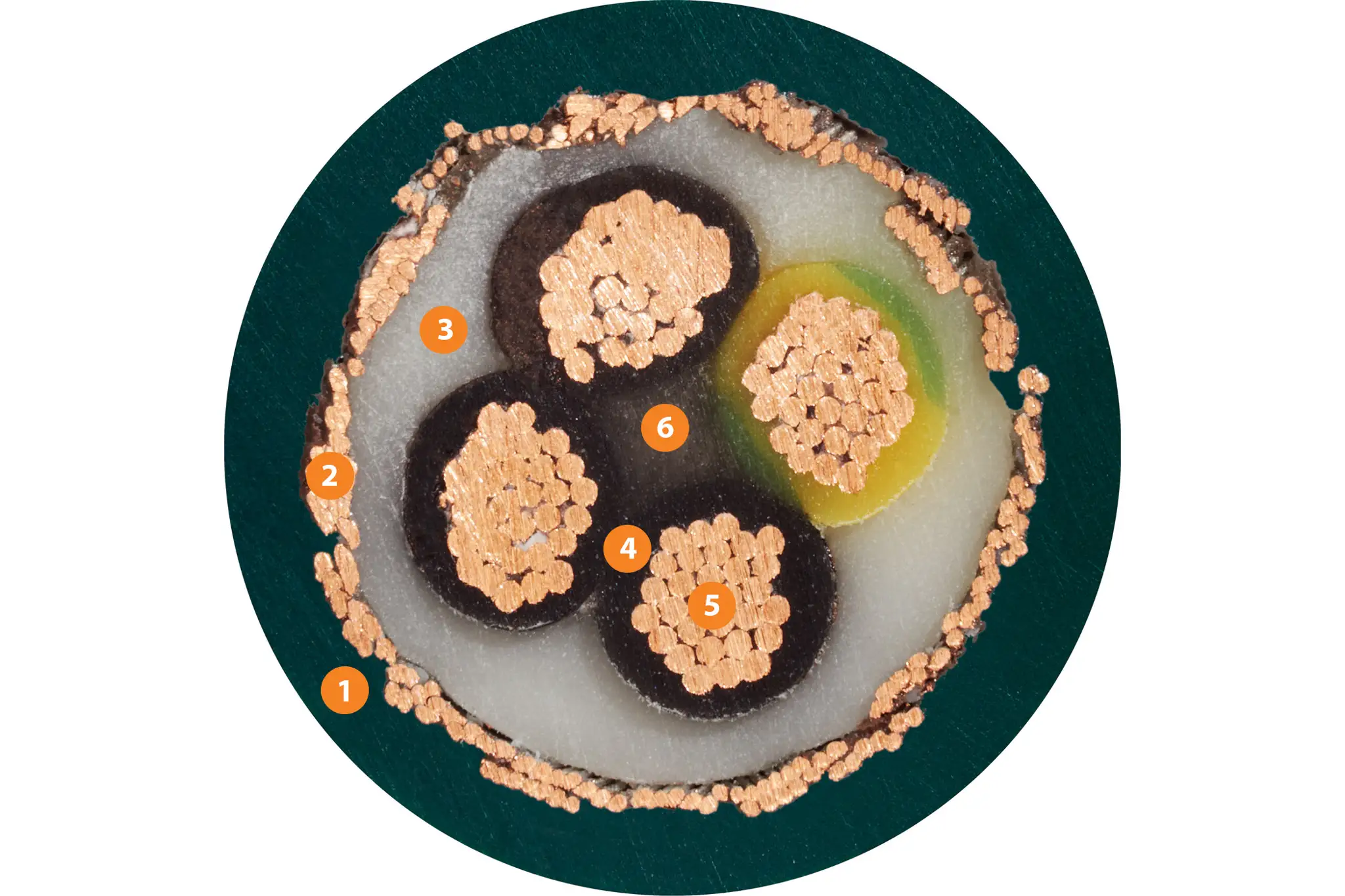 1. Mit Druck extrudierte, ölbeständige PVC-Mischung 2. Extrem biegebeständiges Geflecht aus verzinnten Kupferdrähten 3. Mit Druck extrudierte, zwickelfüllende PVC-Mischung 4. Mechanisch hochwertige TPE oder PVC-Mischung 5. Feindrähtiger Litzenleiter aus blanken Kupferdrähten 6. Zugfestes Kernelement