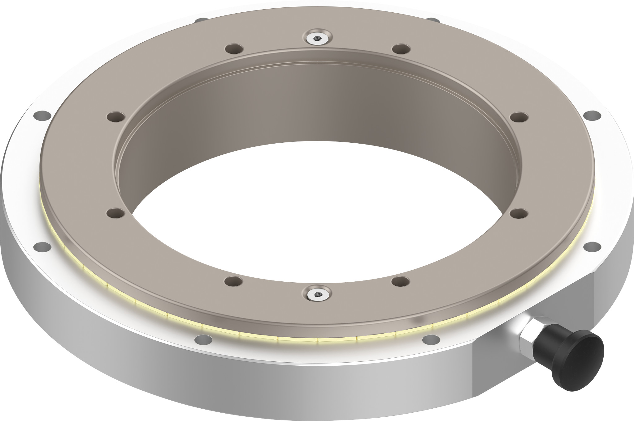 PRT slewing ring bearing with snap-in points