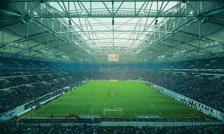 Foto der Rasenfläche in der Veltins Arena 2006