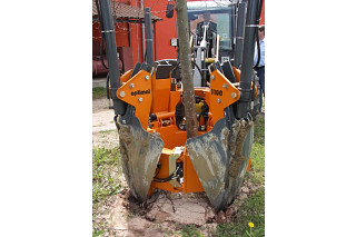 The roots are cleanly severed when the root ball transplanter digs out the tree.