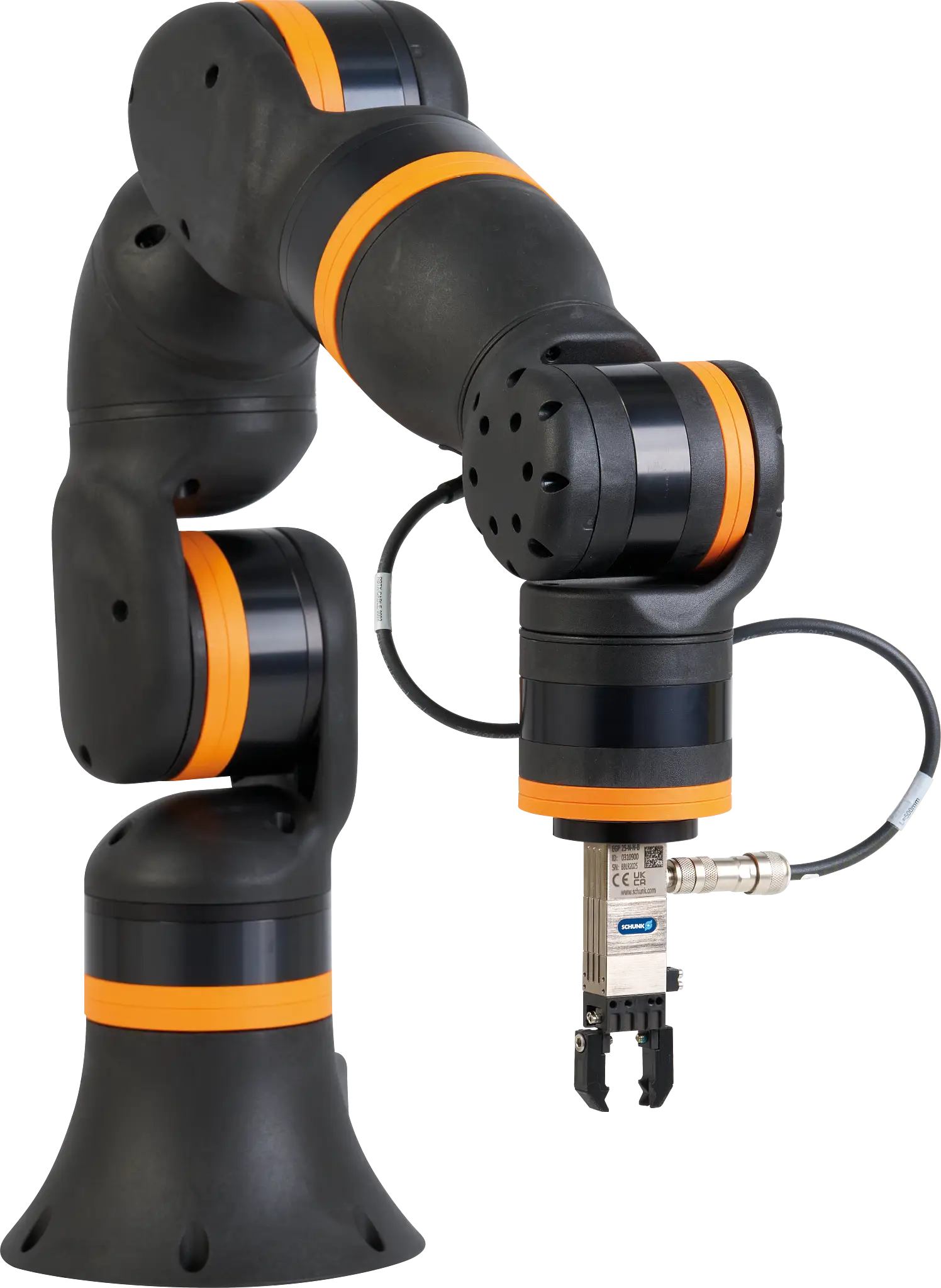 REBEL-EQU-SNK-111 product image REBEL-EQU-SNK-111 product image