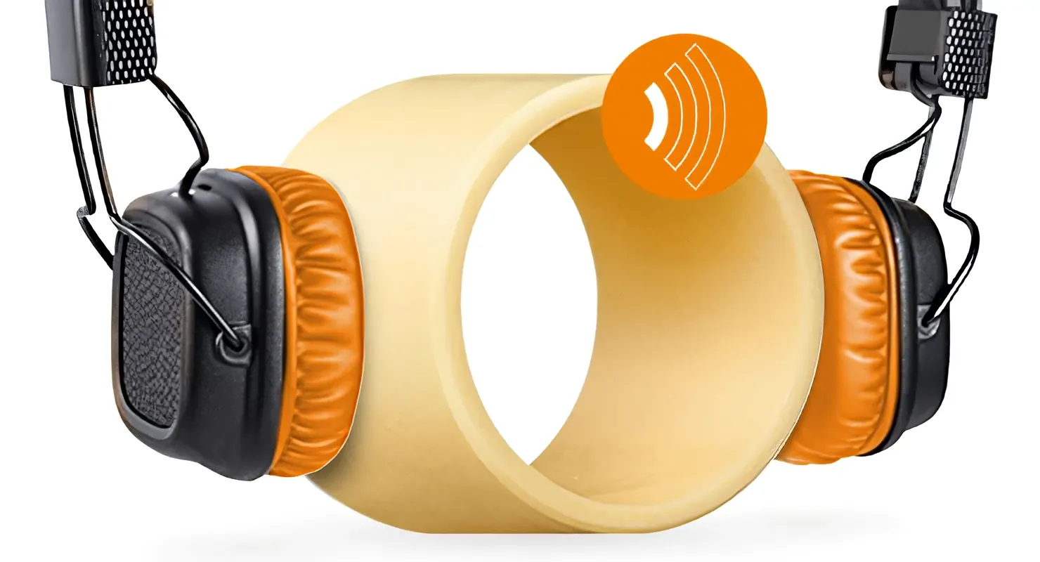 Plain bearings with headphones