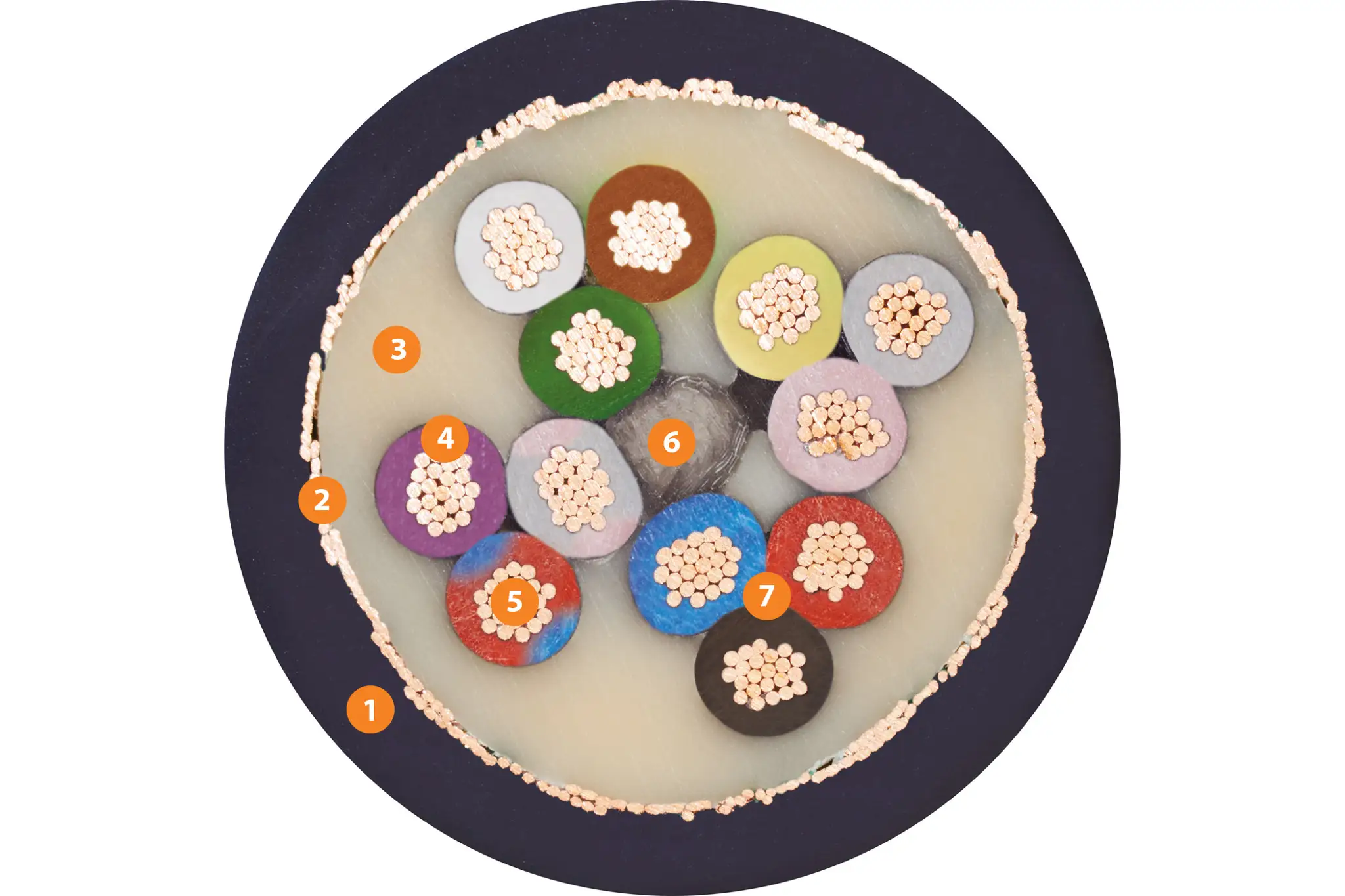 <p>1. Mélange à base
 de TPE extrudé sous pression, sans produits halogènes<br>2. Tressage en fils de cuivre étamé extrêmement
 résistant à la flexion<br>3. Mélange à base de TPE
 surmoulé par extrusion<br>4. Mélange à base de TPE de grande qualité mécanique<br>5. Conducteur en fil de cuivre
 nu très résistant à la flexion<br>6. Élément de noyau
 résistant à la traction<br>7. Faisceau toronné à une longueur et un sens de pas optimisés</p>