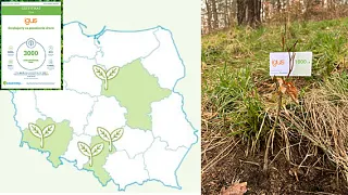 Tree planting campaign in Poland