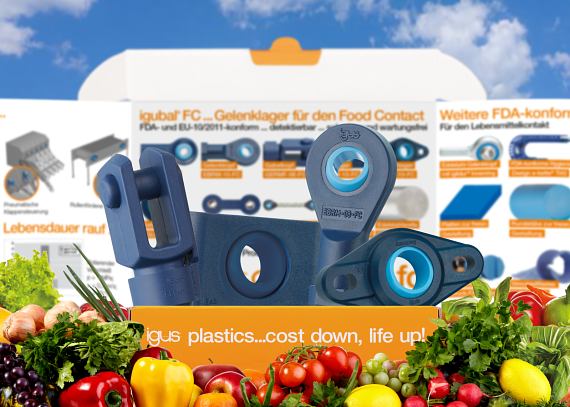 igubal FC detectable food bearings