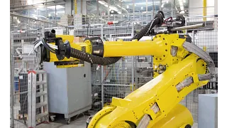 triflex R TRX in the test laboratory