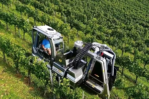 Colheitadeira de uvas